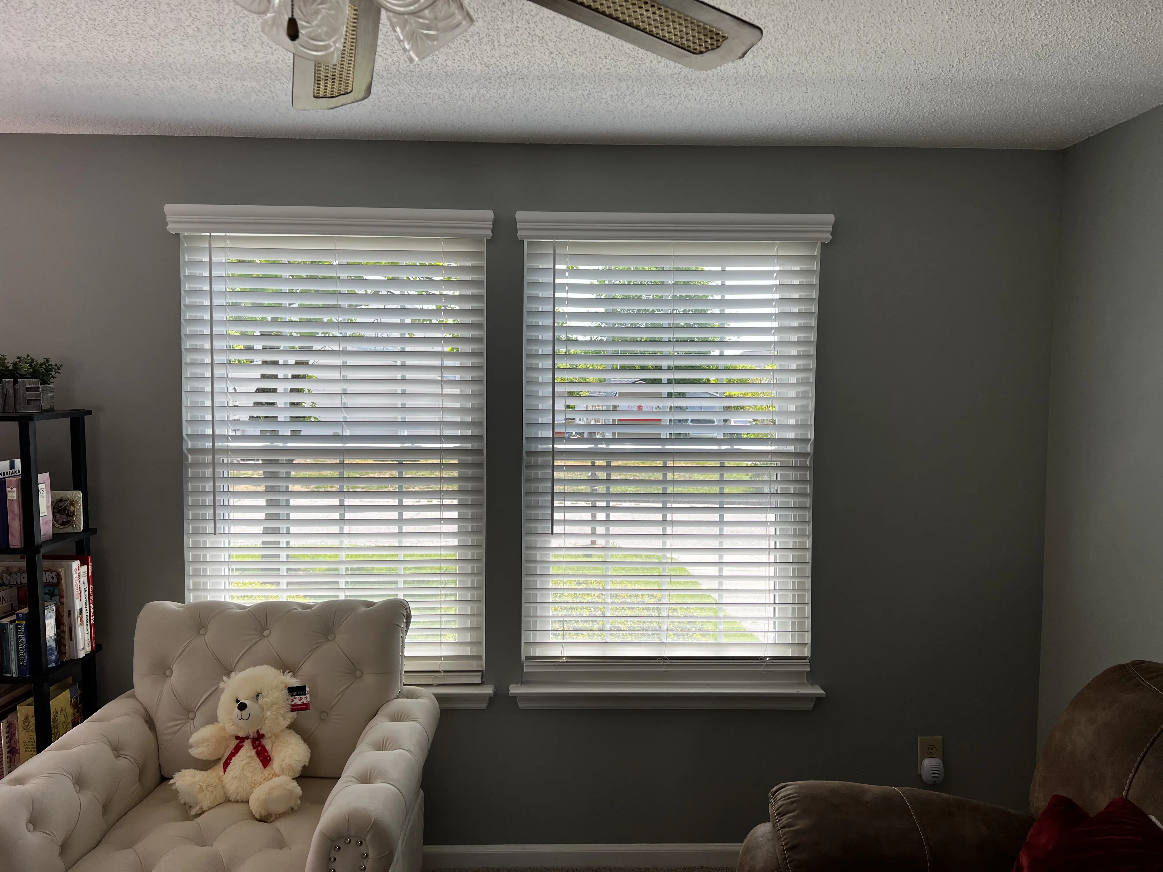 Window Blinds