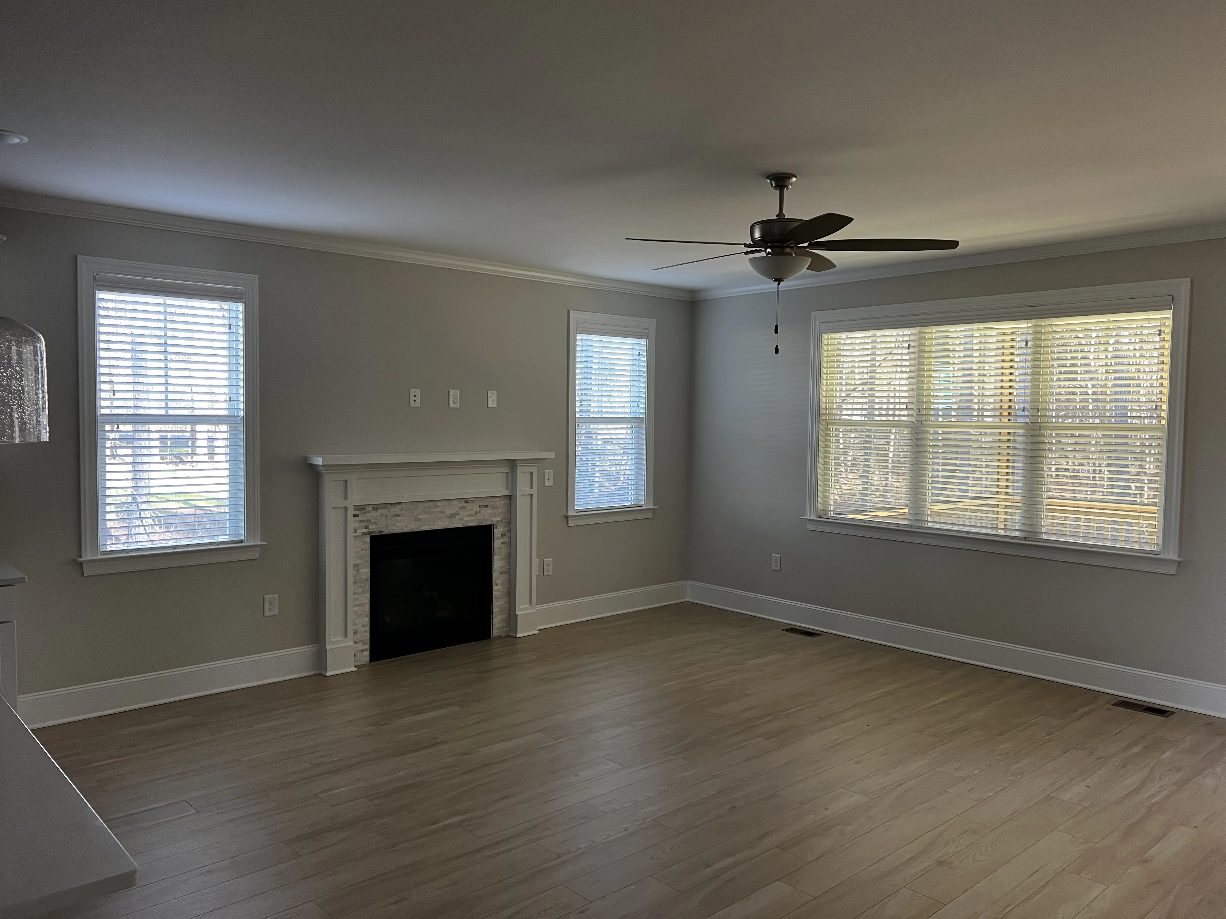 Window Blinds - image 4